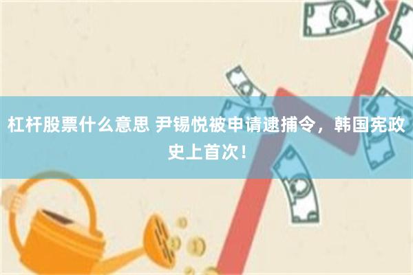 杠杆股票什么意思 尹锡悦被申请逮捕令，韩国宪政史上首次！