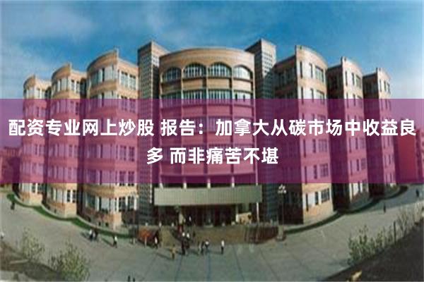 配资专业网上炒股 报告：加拿大从碳市场中收益良多 而非痛苦不堪