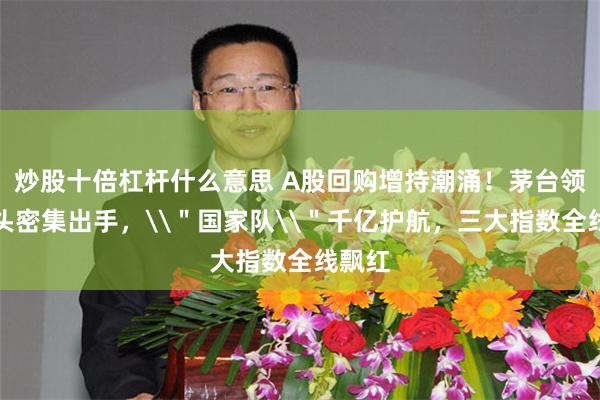 炒股十倍杠杆什么意思 A股回购增持潮涌！茅台领衔龙头密集出手，\＂国家队\＂千亿护航，三大指数全线飘红