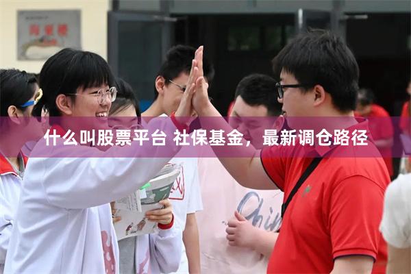 什么叫股票平台 社保基金，最新调仓路径