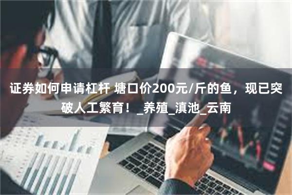 证券如何申请杠杆 塘口价200元/斤的鱼，现已突破人工繁育！_养殖_滇池_云南