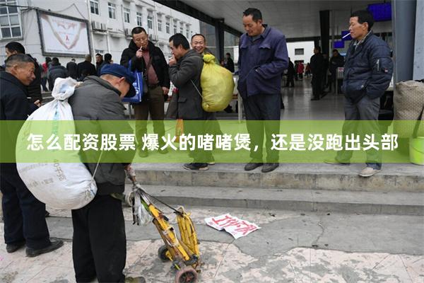 怎么配资股票 爆火的啫啫煲，还是没跑出头部