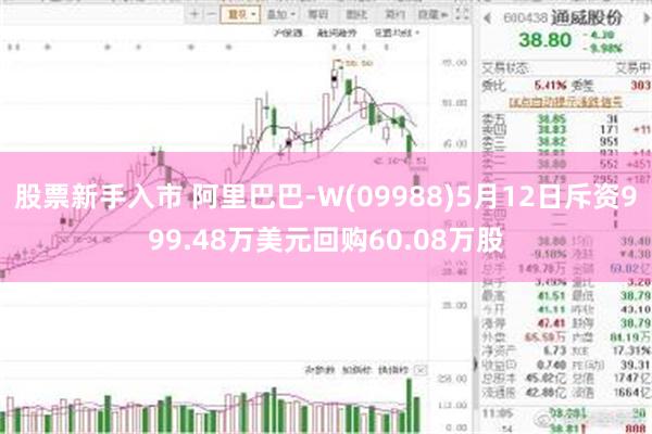股票新手入市 阿里巴巴-W(09988)5月12日斥资999.48万美元回购60.08万股