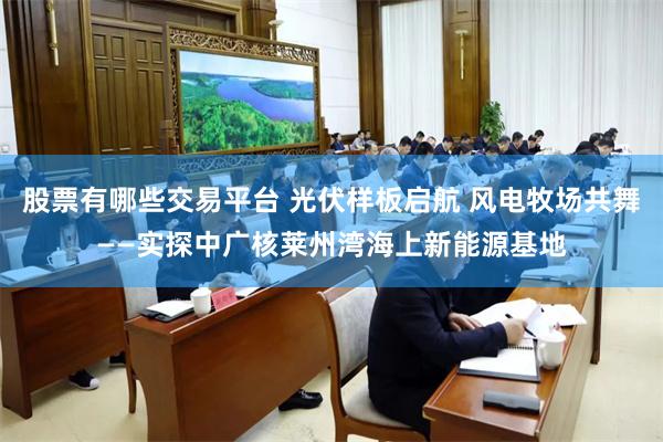 股票有哪些交易平台 光伏样板启航 风电牧场共舞——实探中广核莱州湾海上新能源基地