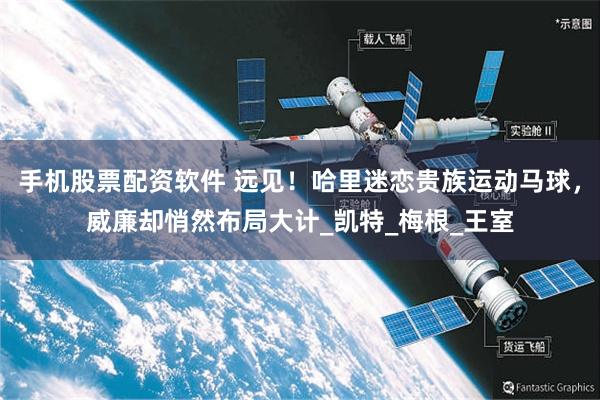 手机股票配资软件 远见！哈里迷恋贵族运动马球，威廉却悄然布局大计_凯特_梅根_王室