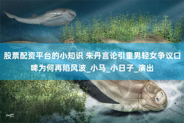 股票配资平台的小知识 朱丹言论引重男轻女争议口啤为何再陷风波_小马_小日子_演出