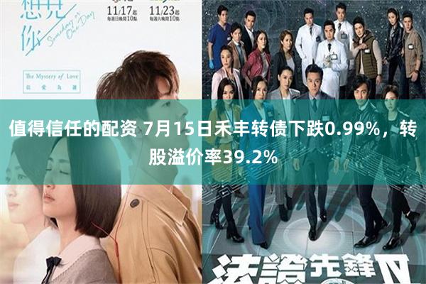 值得信任的配资 7月15日禾丰转债下跌0.99%，转股溢价率39.2%