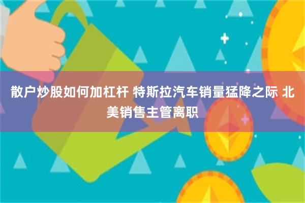 散户炒股如何加杠杆 特斯拉汽车销量猛降之际 北美销售主管离职