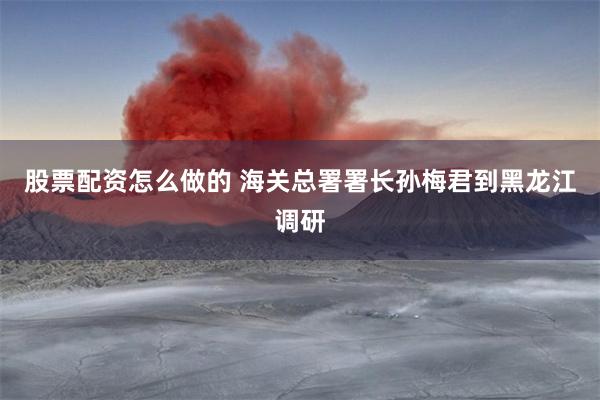 股票配资怎么做的 海关总署署长孙梅君到黑龙江调研