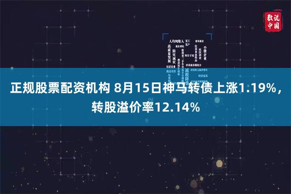 正规股票配资机构 8月15日神马转债上涨1.19%，转股溢价率12.14%