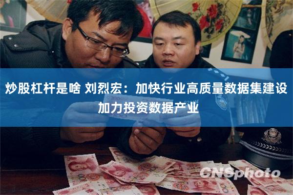 炒股杠杆是啥 刘烈宏：加快行业高质量数据集建设 加力投资数据产业