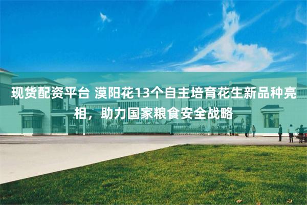 现货配资平台 漠阳花13个自主培育花生新品种亮相，助力国家粮食安全战略