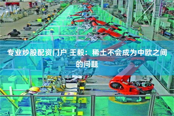 专业炒股配资门户 王毅：稀土不会成为中欧之间的问题