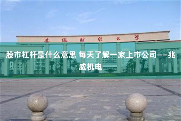 股市杠杆是什么意思 每天了解一家上市公司——兆威机电