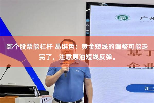哪个股票能杠杆 易维哲：黄金短线的调整可能走完了，注意原油短线反弹。