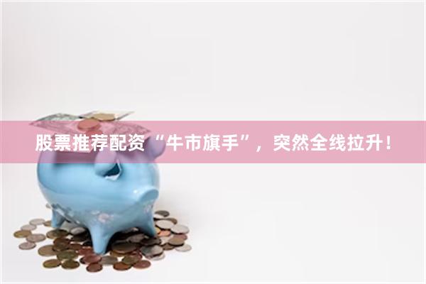股票推荐配资 “牛市旗手”，突然全线拉升！