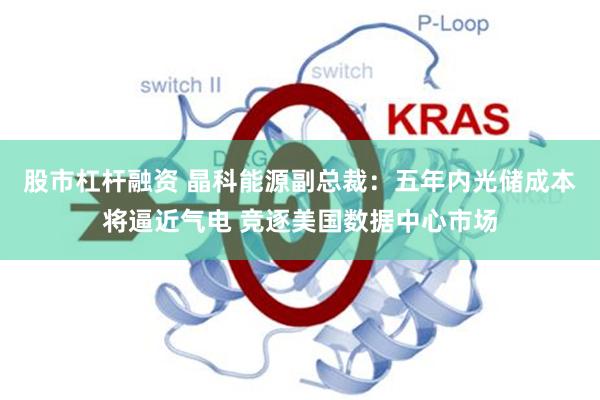 股市杠杆融资 晶科能源副总裁：五年内光储成本将逼近气电 竞逐美国数据中心市场