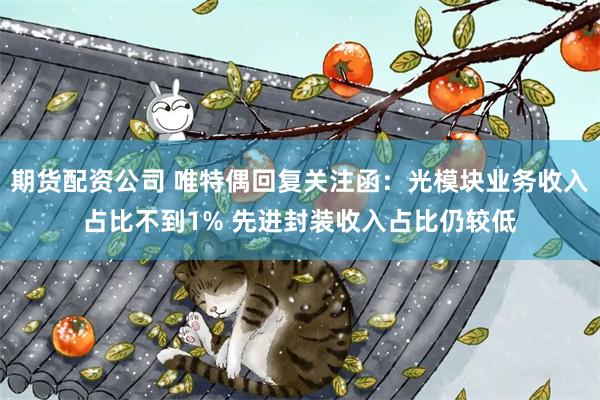 期货配资公司 唯特偶回复关注函:光模块业务收入占比不到1% 先进封装收入占比仍较低