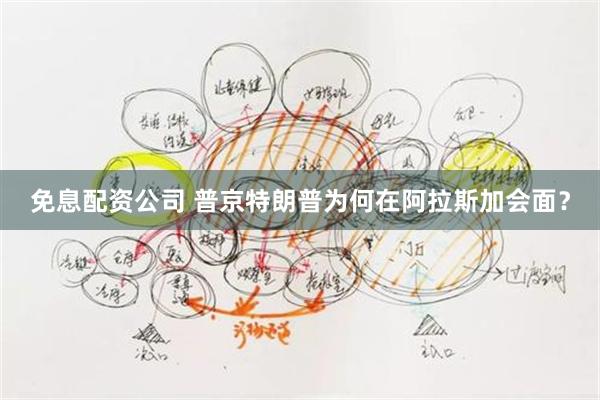免息配资公司 普京特朗普为何在阿拉斯加会面？