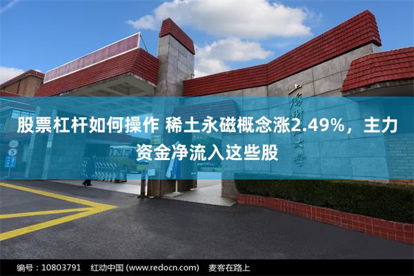 股票杠杆如何操作 稀土永磁概念涨2.49%，主力资金净流入这些股