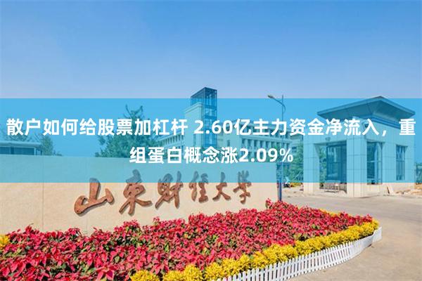 散户如何给股票加杠杆 2.60亿主力资金净流入，重组蛋白概念涨2.09%