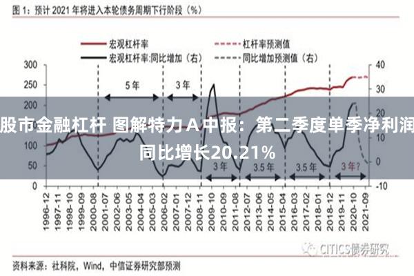 股市金融杠杆 图解特力Ａ中报：第二季度单季净利润同比增长20.21%