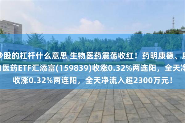 炒股的杠杆什么意思 生物医药震荡收红！药明康德、康龙化成涨4%，生物医药ETF汇添富(159839)收涨0.32%两连阳，全天净流入超2300万元！