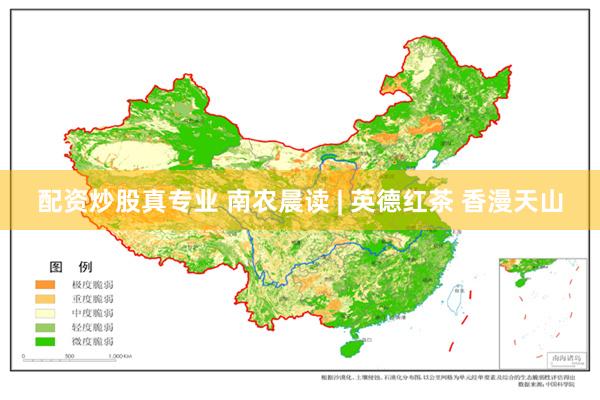 配资炒股真专业 南农晨读 | 英德红茶 香漫天山