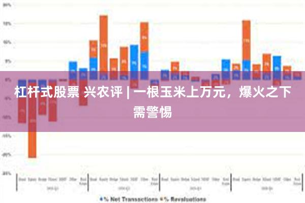 杠杆式股票 兴农评 | 一根玉米上万元，爆火之下需警惕