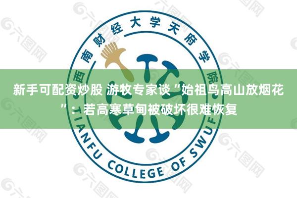 新手可配资炒股 游牧专家谈“始祖鸟高山放烟花”:若高寒草甸被破坏很难恢复