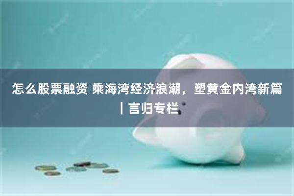 怎么股票融资 乘海湾经济浪潮，塑黄金内湾新篇｜言归专栏
