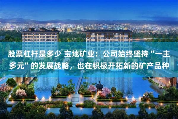 股票杠杆是多少 宝地矿业：公司始终坚持“一主多元”的发展战略，也在积极开拓新的矿产品种