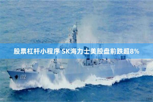 股票杠杆小程序 SK海力士美股盘前跌超8%