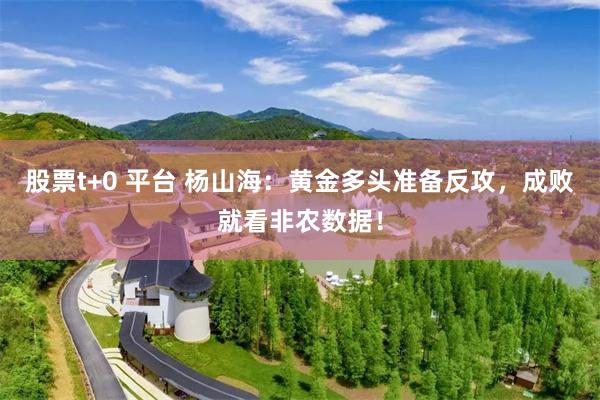 股票t+0 平台 杨山海:黄金多头准备反攻,成败就看非农数据!