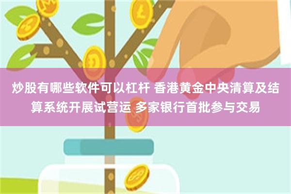 炒股有哪些软件可以杠杆 香港黄金中央清算及结算系统开展试营运 多家银行首批参与交易