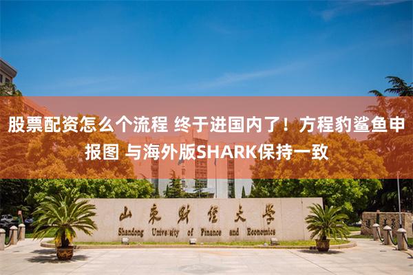 股票配资怎么个流程 终于进国内了！方程豹鲨鱼申报图 与海外版SHARK保持一致