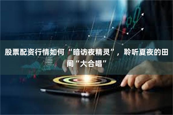 股票配资行情如何 “暗访夜精灵”，聆听夏夜的田间“大合唱”