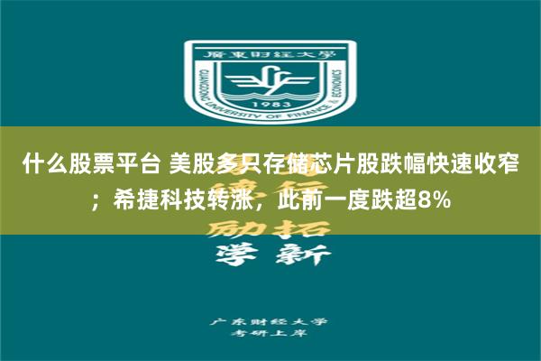 什么股票平台 美股多只存储芯片股跌幅快速收窄；希捷科技转涨，此前一度跌超8%