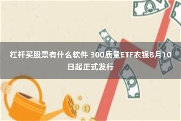 杠杆买股票有什么软件 300质量ETF农银8月10日起正式发行