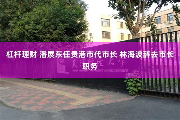 杠杆理财 潘展东任贵港市代市长 林海波辞去市长职务