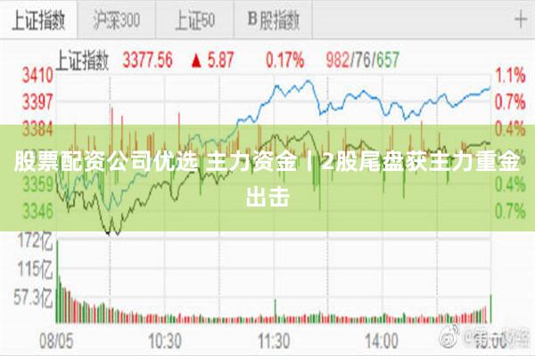股票配资公司优选 主力资金丨2股尾盘获主力重金出击
