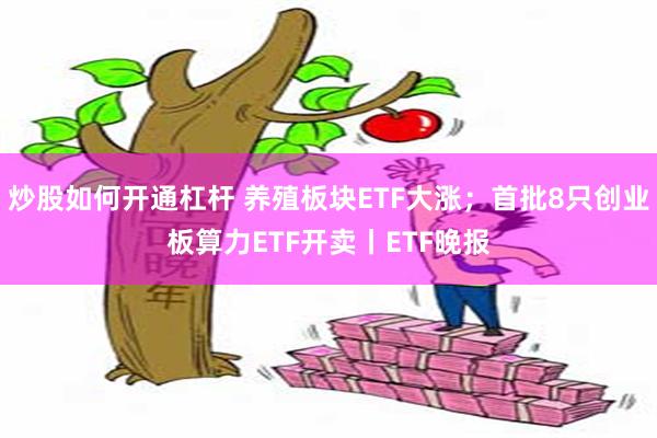炒股如何开通杠杆 养殖板块ETF大涨；首批8只创业板算力ETF开卖丨ETF晚报