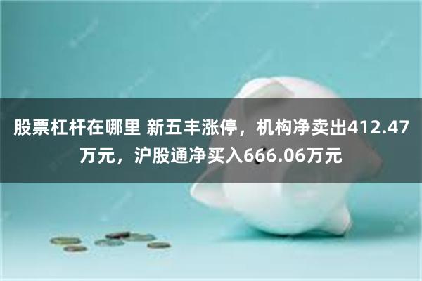 股票杠杆在哪里 新五丰涨停，机构净卖出412.47万元，沪股通净买入666.06万元