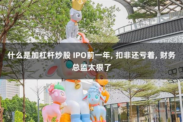 什么是加杠杆炒股 IPO前一年, 扣非还亏着, 财务总监太狠了