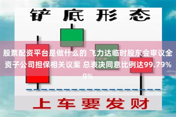 股票配资平台是做什么的 飞力达临时股东会审议全资子公司担保相关议案 总表决同意比例达99.79%