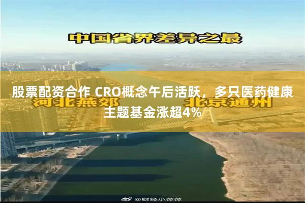 股票配资合作 CRO概念午后活跃，多只医药健康主题基金涨超4%