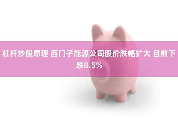 杠杆炒股原理 西门子能源公司股价跌幅扩大 目前下跌8.5%