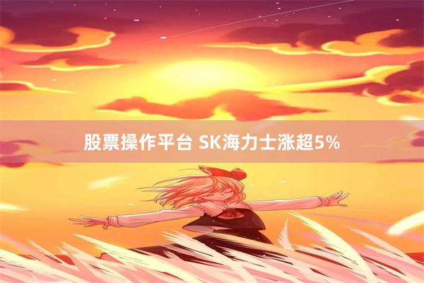 股票操作平台 SK海力士涨超5%