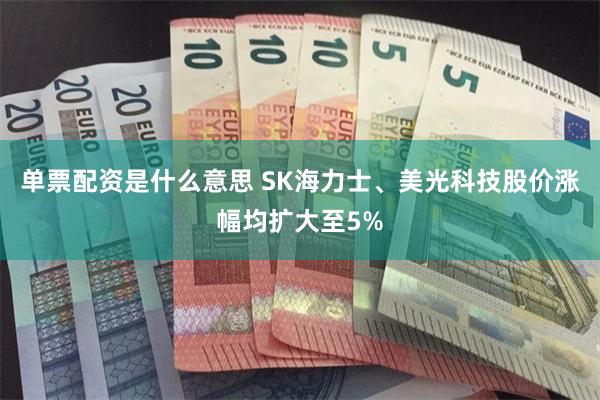 单票配资是什么意思 SK海力士、美光科技股价涨幅均扩大至5%