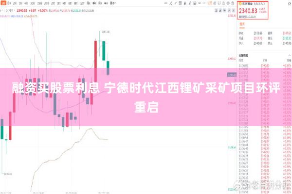 融资买股票利息 宁德时代江西锂矿采矿项目环评重启